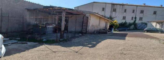 Immobile in asta di 1951 m² in vendita a Luras - Foto 14