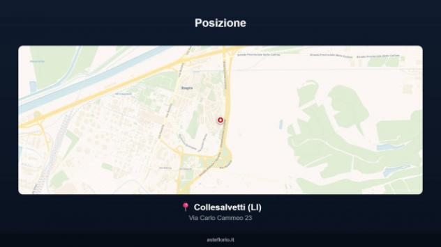 Immobile in asta di 415 m² in vendita a Collesalvetti - Foto 12