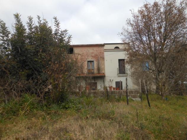 Casa indipendente affiancata per un lato su due livelli per un totale di mq 80 con terreno circostante di mq 3.000 - Foto 3