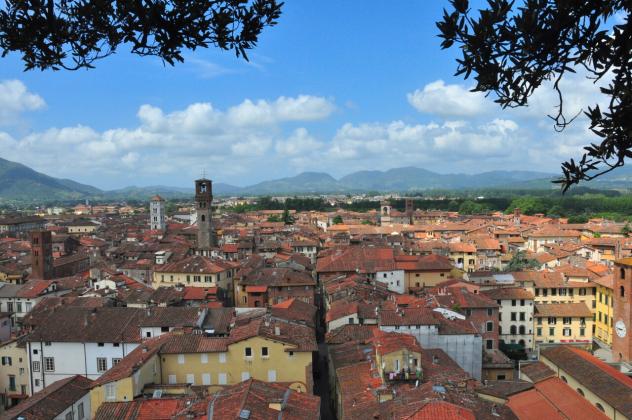 Locale commerciale in affitto a Lucca - Foto 9