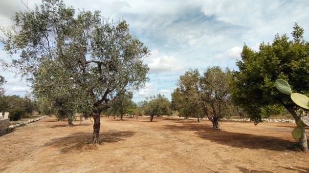 AMPIO TERRENO CON PICCOLO CASOLARE