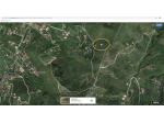 TERRENO AGRICOLO A MONTECORICE PRESSI CASE DEL CONTE/OGLIASTRO MARINA