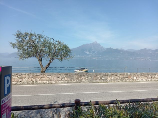 Ragazzo tuttofare come aiuto muratore ecc zona Mantova e provincia