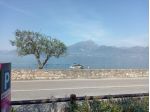 Ragazzo tuttofare come aiuto muratore ecc zona Mantova e provincia