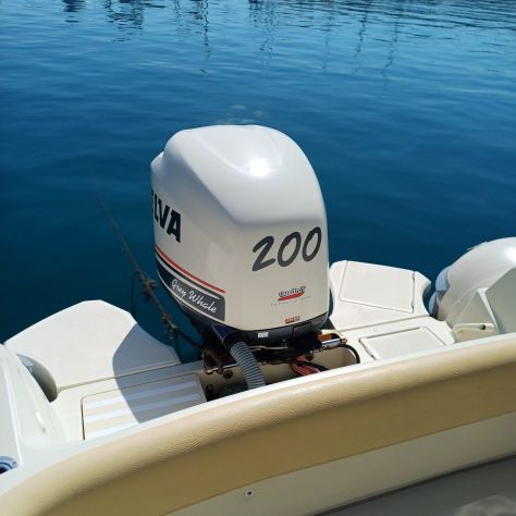 GOMMONE STINGHER 22 CON MOTORE SELVA 200 - Foto 3