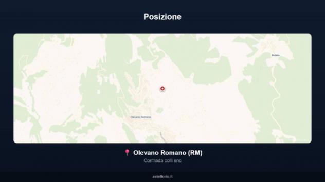 Immobile in asta di 990 m² con più di 5 locali in vendita a Olevano Romano - Foto 16
