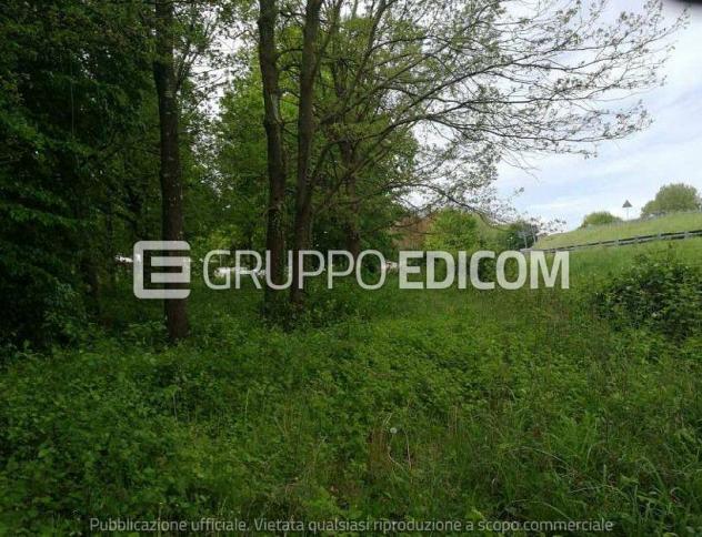 Terreno di 34378 mq in vendita a Treviso - Rif. 4550468 - Foto 4