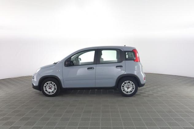 FIAT Panda Panda 1.0 FireFly Hybrid City Life rif. 23625318 - Foto 7