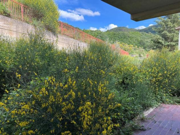 Immobile in asta di 167 m² con più di 5 locali e box auto in vendita a Pignola - Foto 7