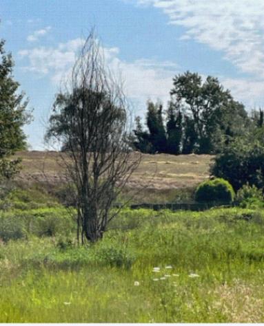 Immobile in asta di 3 m² in vendita a Borgo Mantovano - Foto 12