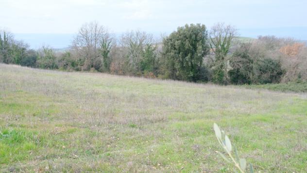 Rustico in vendita a Lugnano in Teverina - Foto 9