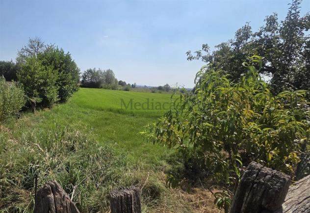 RIVAROLO C.SE – FRAZ. ARGENTERA | CASCINALE CANAVESANO CON 3.590 MQ DI TERRENO - Foto 17