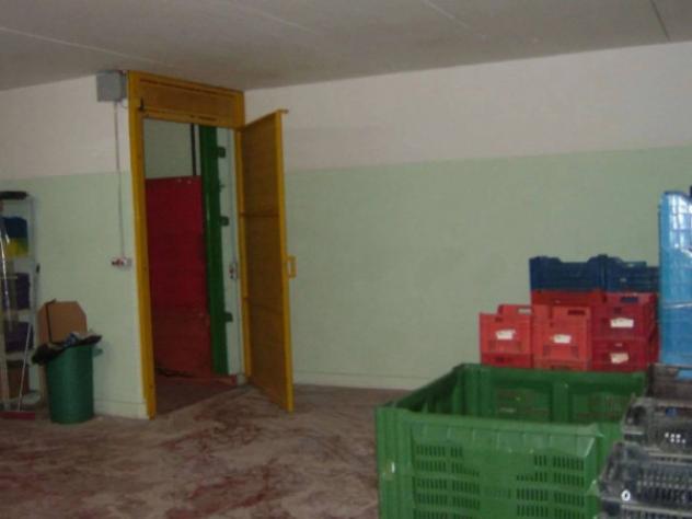 Immobile in asta di 115 m² in vendita a Pergola - Foto 4