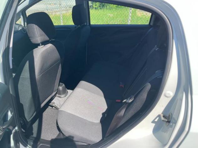 FIAT Punto 1.2 8V 5 porte Young rif. 23829342 - Foto 10