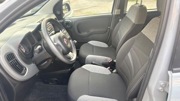 FIAT Panda Panda 1.0 firefly hybrid s&s 70cv 12 MESI DI GARANZIA - Foto 7