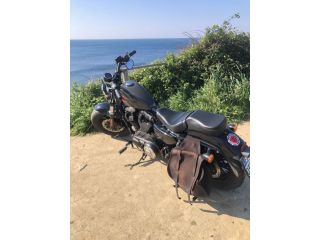 Harley Forty Eight 1200