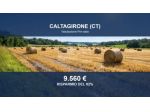 Immobile in asta di 35824 m² in vendita a Caltagirone