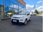 FIAT Panda 1.0 S&S Hybrid Van 2 posti rif. 24152965