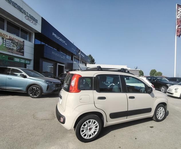Fiat Panda 1.2 Pandazzurri - NEOPATENTATI - Foto 7