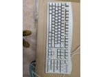 R81 - TASTIERA PER PC - PACKARD BELL