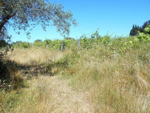Immobile in asta di 357673 m² in vendita a Siena - Foto 3