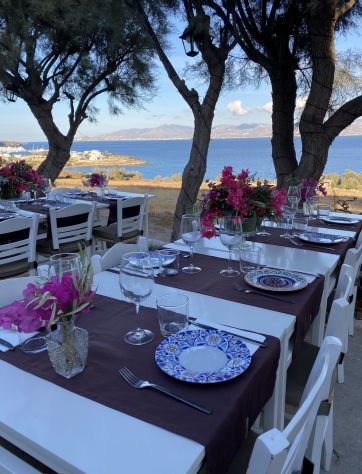 Lavapiatti con esperienza a Paros ( Grecia)