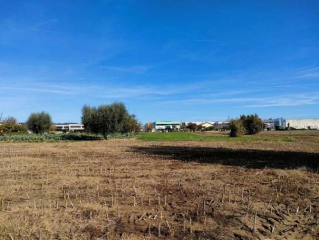 Immobile in asta di 2500 m² in vendita a Cartoceto - Foto 6