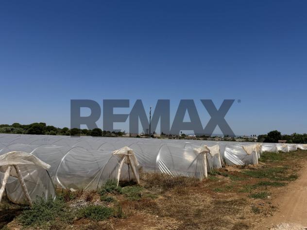 Terreno in vendita a Pachino, Marzamemi - Foto 5