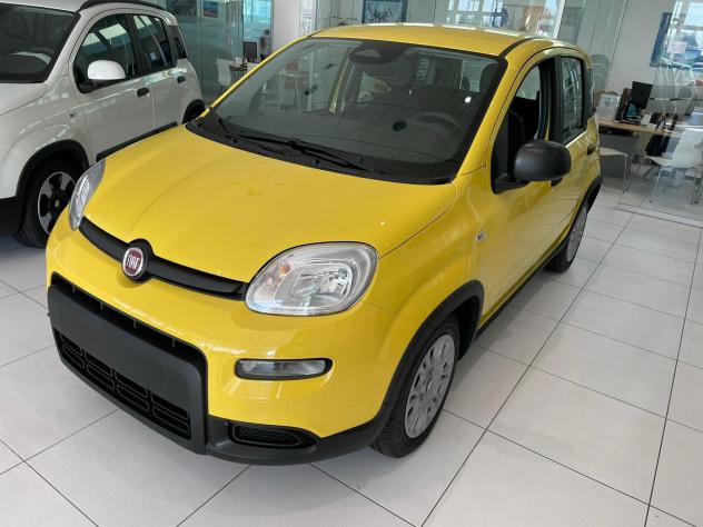 FIAT Panda Panda 1.0 FireFly S&S Hybrid Pop - Foto 3