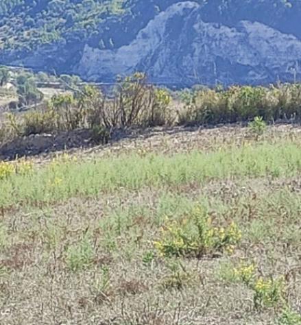 Immobile in asta di 100 m² in vendita a Licodia Eubea - Foto 9