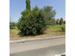 Terreno edif. residenziale in vendita a Cecina 460 mq  Rif: 1268120