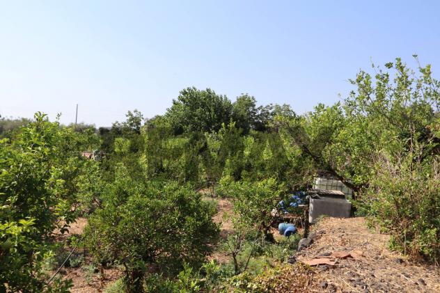 Terreno in vendita a Mascali, Santa Venera - Foto 7