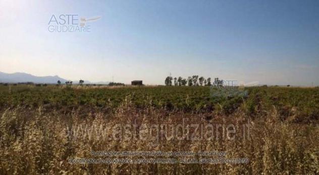 IMMOBILI-ALTRA CATEGORIA-Località Bia Mordegus - Foto 2
