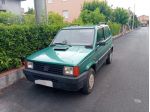 vendesi Panda young 900