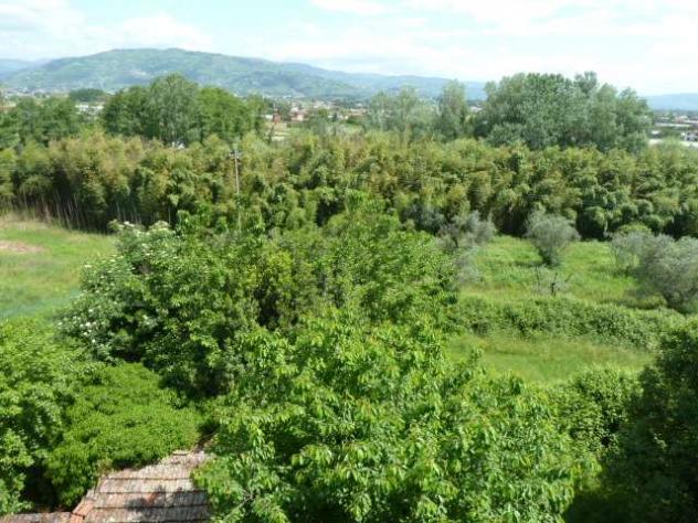 Villa montecarlo - villa Montecarlo - Foto 5