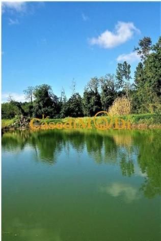 Villa in vendita a Fauglia 1000 mq Rif: 1424014 - Foto 10
