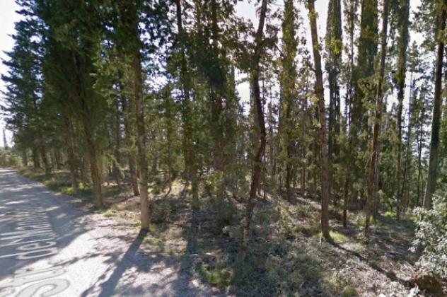 Immobile in asta di 21873 m² in vendita a Castellina in Chianti - Foto 13