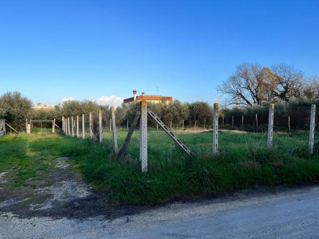 Terreno edificabile in vendita a Nettuno - Foto 3