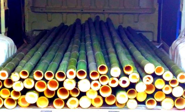Canne di bambù bambu bamboo con diametro da 1 a 10 cm. - Foto 2