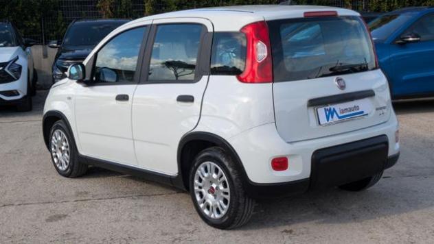 FIAT Panda 1.0Hybrid Firefly 70cv rif. 24182298 - Foto 4