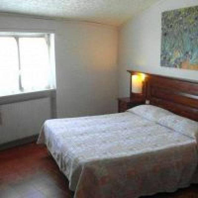 Raggio di Sole - S.r.l. - Foto 2