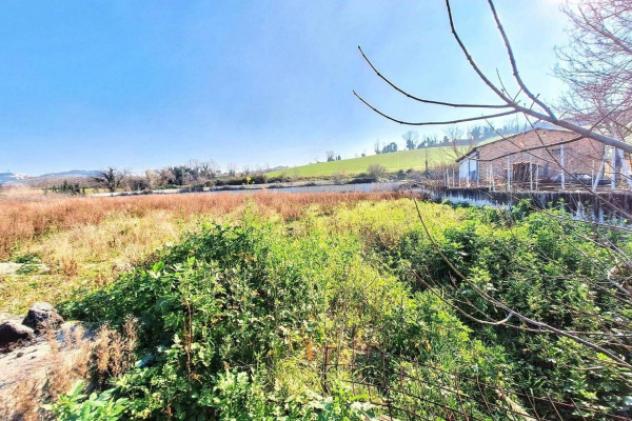 Immobile in asta di 13347 m² in vendita a Montelupone - Foto 13