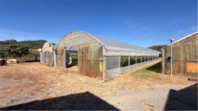 Fattoria LUCCA - Lucca, Moriano – Ampia Proprietà Agricola con Casale, Capanna e 1,6 Ettari di Terreno - Foto 15