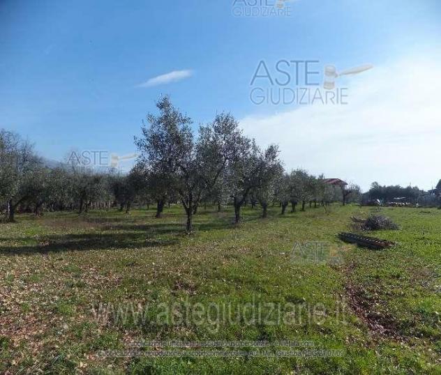 IMMOBILI-ALTRA CATEGORIA-Via Jugoslavia, 03011 Alatri FR, Italia, - Foto 4