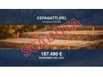 Immobile in asta di 4216 m² in vendita a Cepagatti
