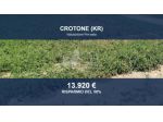 Immobile in asta di 19410 m² in vendita a Crotone