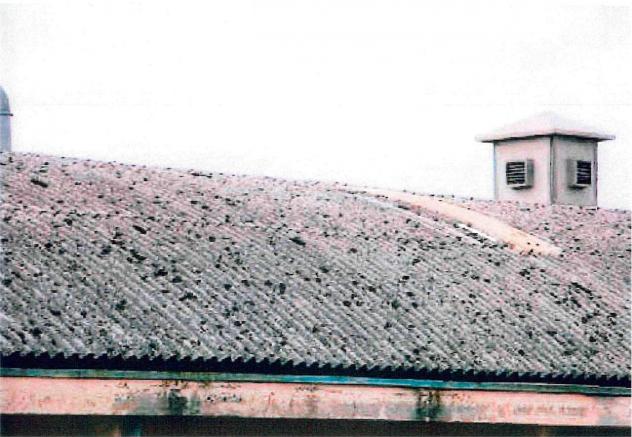 13/2022 1 BS - Opificio con appartamento in asta a Palazzolo sull'Oglio - Foto 15