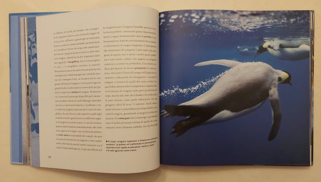 I pinguini e gli animali del polo sud Mojetta A.Ed.Corriere della sera 2006 - Foto 5