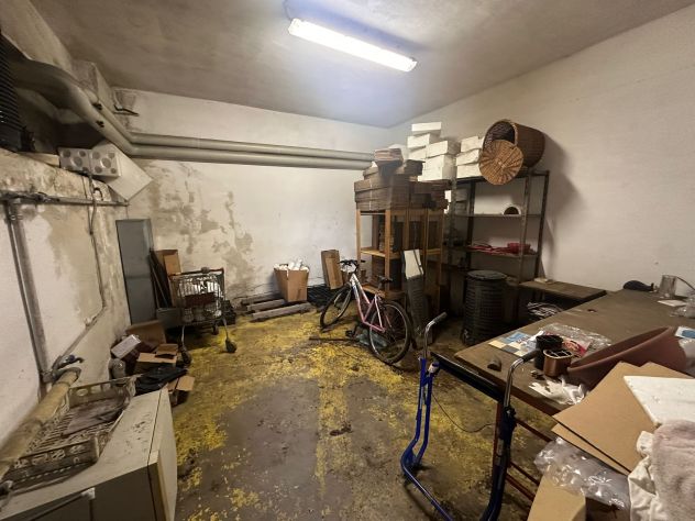 CAPANNONE SEMINDIPENDENTE CON AREA AD USO ESCLUSIVO - Foto 4