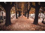 Musica per funerale a Vigevano